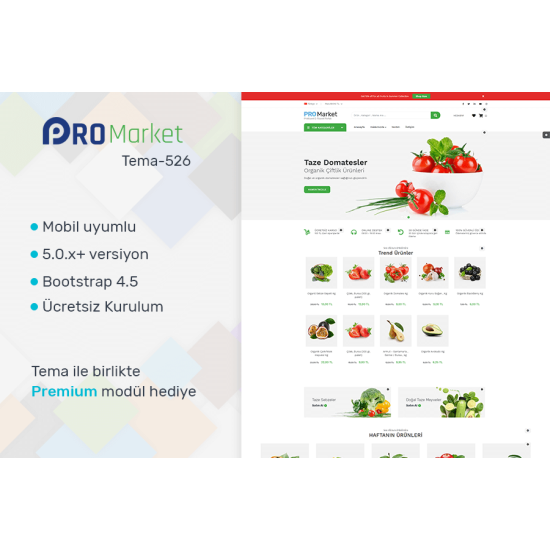 ProTicaret Organik Market Teması 26